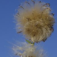 2015-07-23 19-24-02
