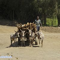 2015-09-22 10-26-31