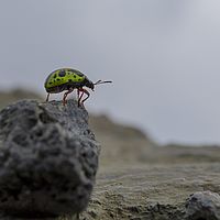 2017-05-02 12-57-31