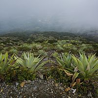2017-05-02 13-34-09
