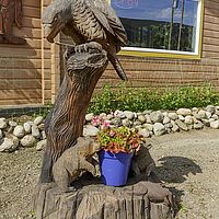 2017-07-07 16-35-45