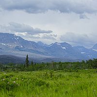 2017-06-27 07-22-08