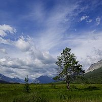 2017-06-27 09-06-56