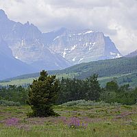 2017-06-27 10-29-35