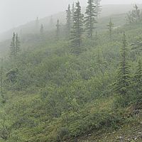 2017-07-11 10-10-03