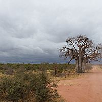 2013-09-29 14-03-06