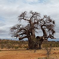 2013-09-29 14-11-53