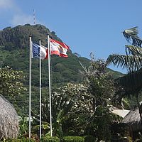 27-05-2010 11-31-04