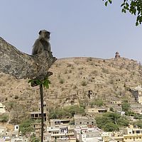 2016-04-29 10-42-27