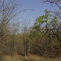 2016-05-07 07-29-41