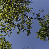 2016-05-07 07-32-27