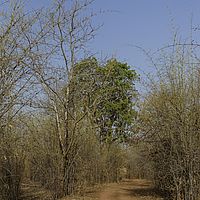 2016-05-07 07-36-54