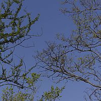 2016-05-07 08-05-47