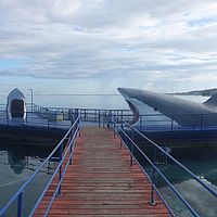 29-05-2010 07-54-35