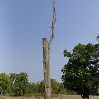 2016-05-11 08-02-32