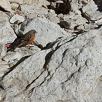 2013-05-06 07-49-46