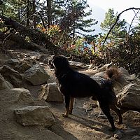 2013-05-09 08-05-36
