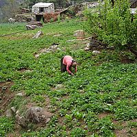 2013-05-09 11-15-48