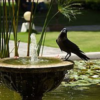2013-05-12 13-59-54