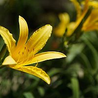 2013-05-12 14-02-24