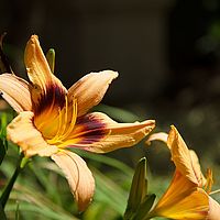 2013-05-12 14-05-54
