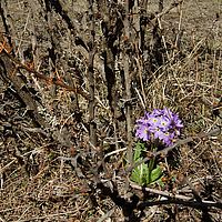 2013-04-30 10-20-47