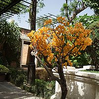 2013-05-12 14-19-57