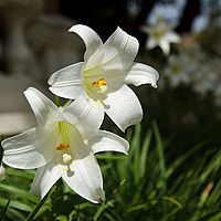 2013-05-12 14-21-52