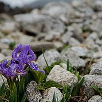 2013-04-30 13-34-32