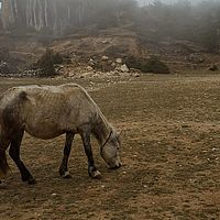 2013-04-30 15-00-19