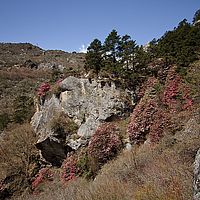 2013-05-01 10-04-15