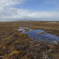 2014-07-01 10-59-23