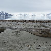 2014-07-03 10-04-39