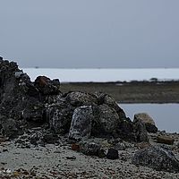 2014-07-03 10-10-03