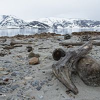 2014-07-03 10-12-50