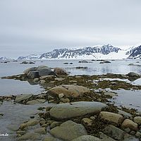 2014-07-03 11-53-31