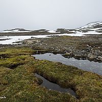2014-07-05 10-21-07
