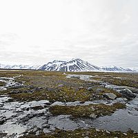 2014-07-06 11-00-30