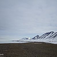 2014-07-06 11-07-06
