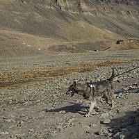 2014-06-29 09-18-21-2