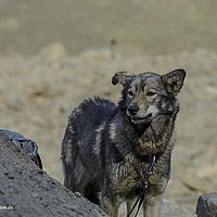 2014-06-29 10-42-28