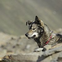 2014-06-29 11-00-53
