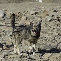 2014-06-29 11-08-39