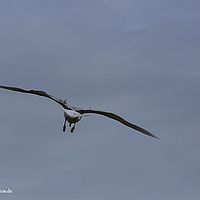 2014-06-29 16-46-37