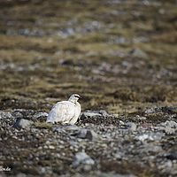 2014-07-02 10-40-54