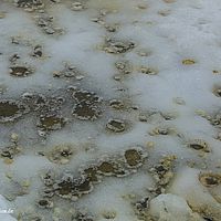 2014-07-03 10-30-00