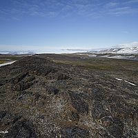 2014-07-08 10-03-29