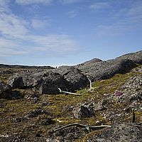 2014-07-08 10-15-56