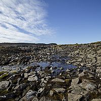 2014-07-08 10-36-23