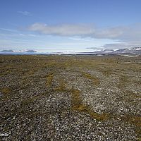 2014-07-08 11-38-13